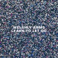 Welshly Arms - Learn To Let Go.flac