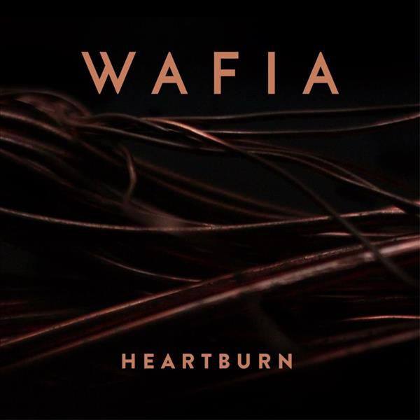 Wafia - Heartburn (Felix Cartal Remix).flac