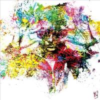 Maitre Gims - Caméléon.flac