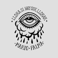 Mario Palma - Llora Si Hay Que Llorar (2020) FLAC