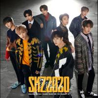 Stray Kids - SKZ2020 (2020)