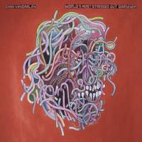 Chad VanGaalen - Samurai Sword.flac