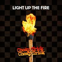Cheap Trick - Light Up The Fire.flac