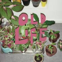 Melby - Old Life.flac