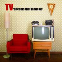 VA - T.v. Sitcoms That Made Us