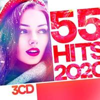 VA - 55 Hits 2020 [3CD] (2020) FLAC