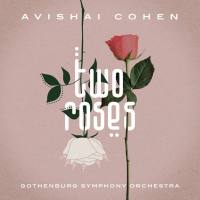 Avishai Cohen - Two Roses Hi-Res