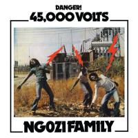 Ngozi Family - 45,000 Volts 2021 FLAC