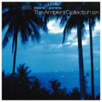Blank & Jones - The Ambient Collection FLAC (24bit-44.1kHz)