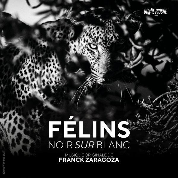 2021 Félins noir sur blanc (Bande originale du film) FLAC 24-48